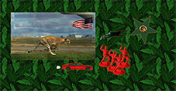 dreams